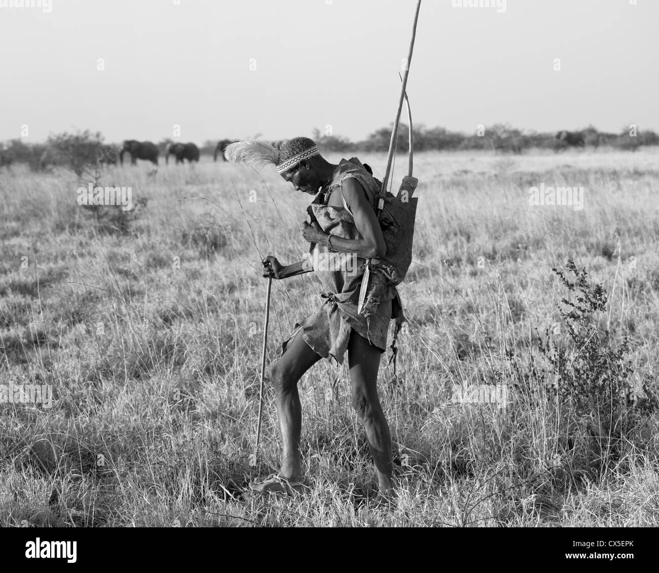 San people africa Black and White Stock Photos & Images - Alamy