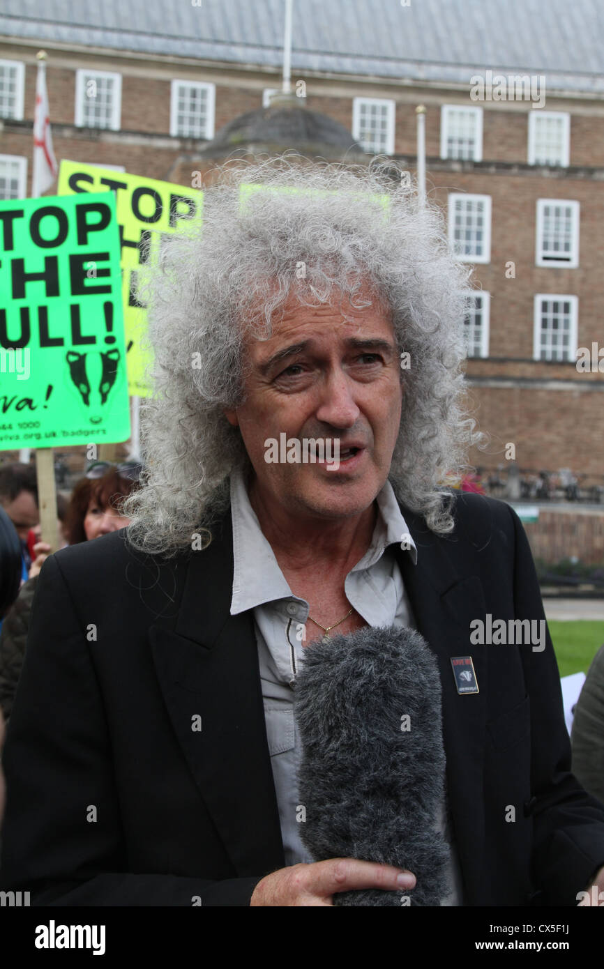 Queen guitarist, Brian May, launches 'Team Badger' to protest against the UK government plans to cull badgers to prevent TB Stock Photo