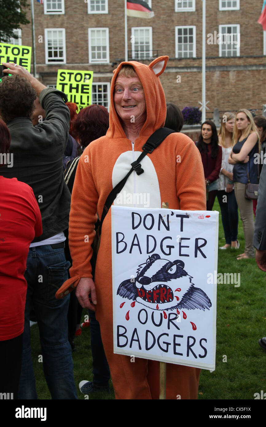 Member of 'Team Badger', Brian May's protest group against the UK government plans to cull badgers to prevent TB Stock Photo