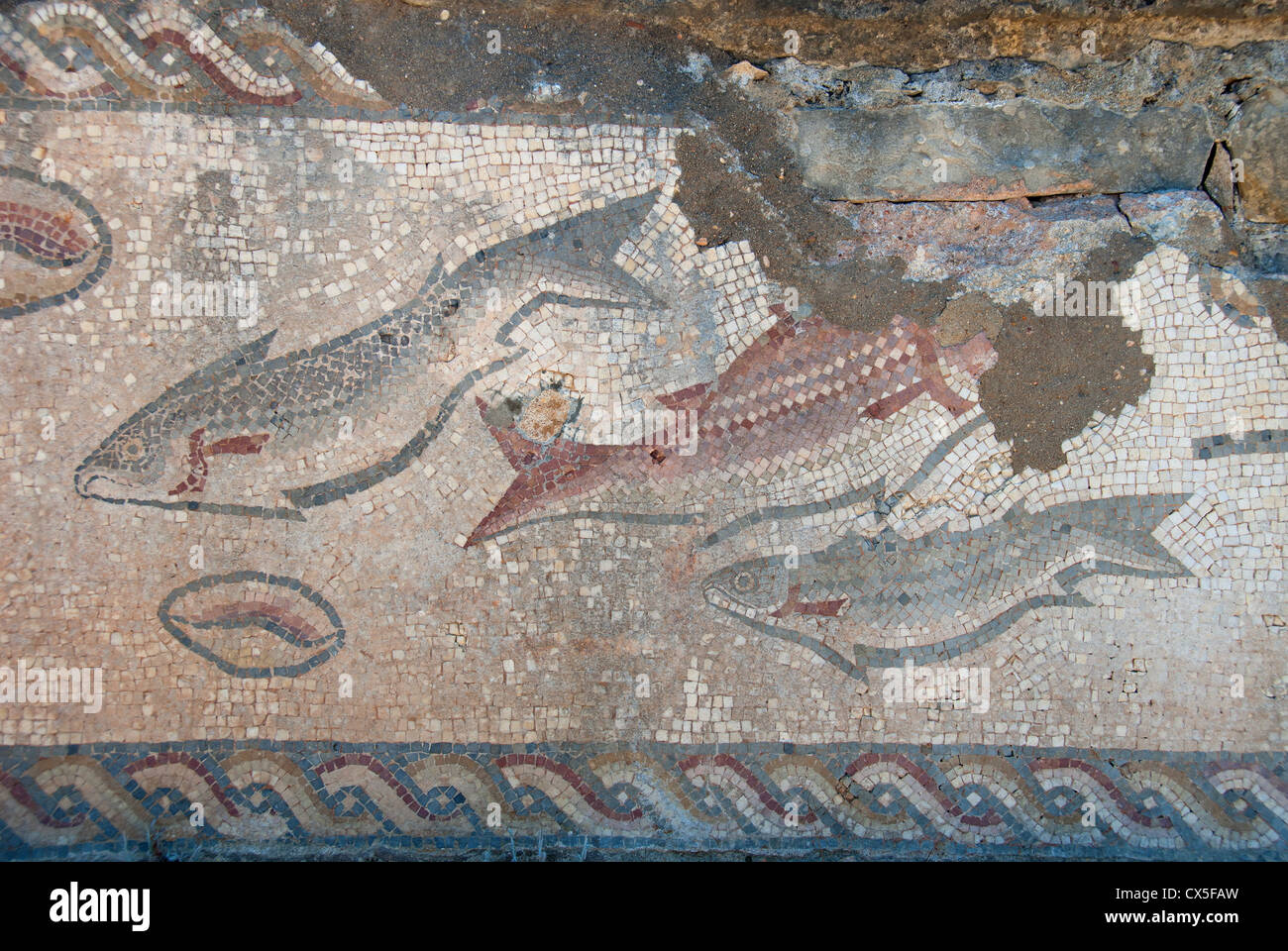 Images of roman mosaics hi-res stock photography and images - Alamy