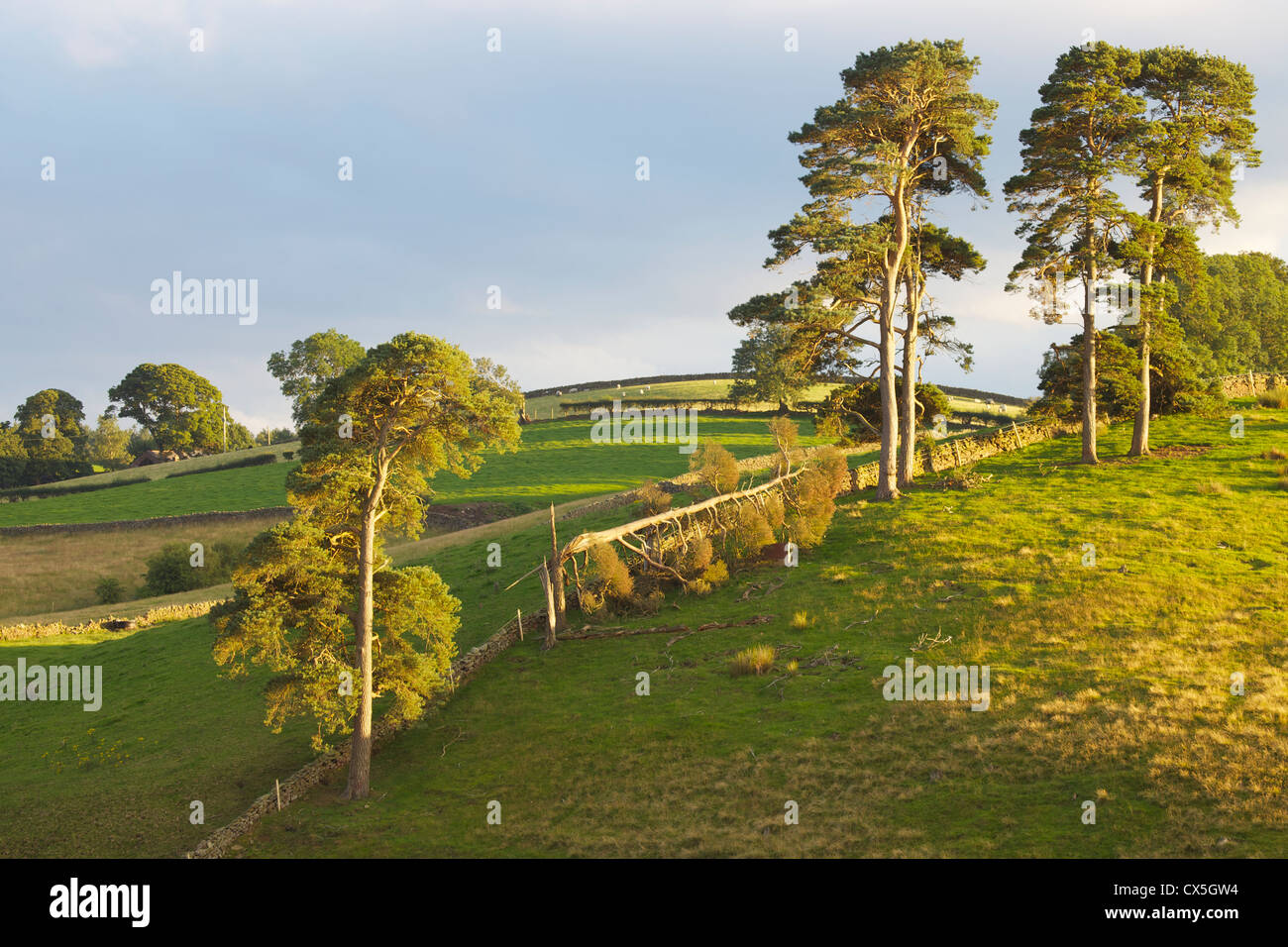 Ainstable hi-res stock photography and images - Alamy