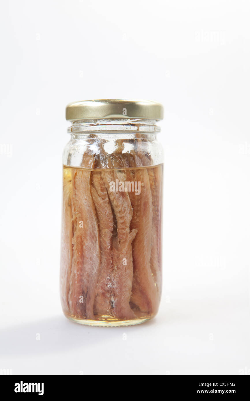 Fresh salty anchoved under oil on white background Stock Photo