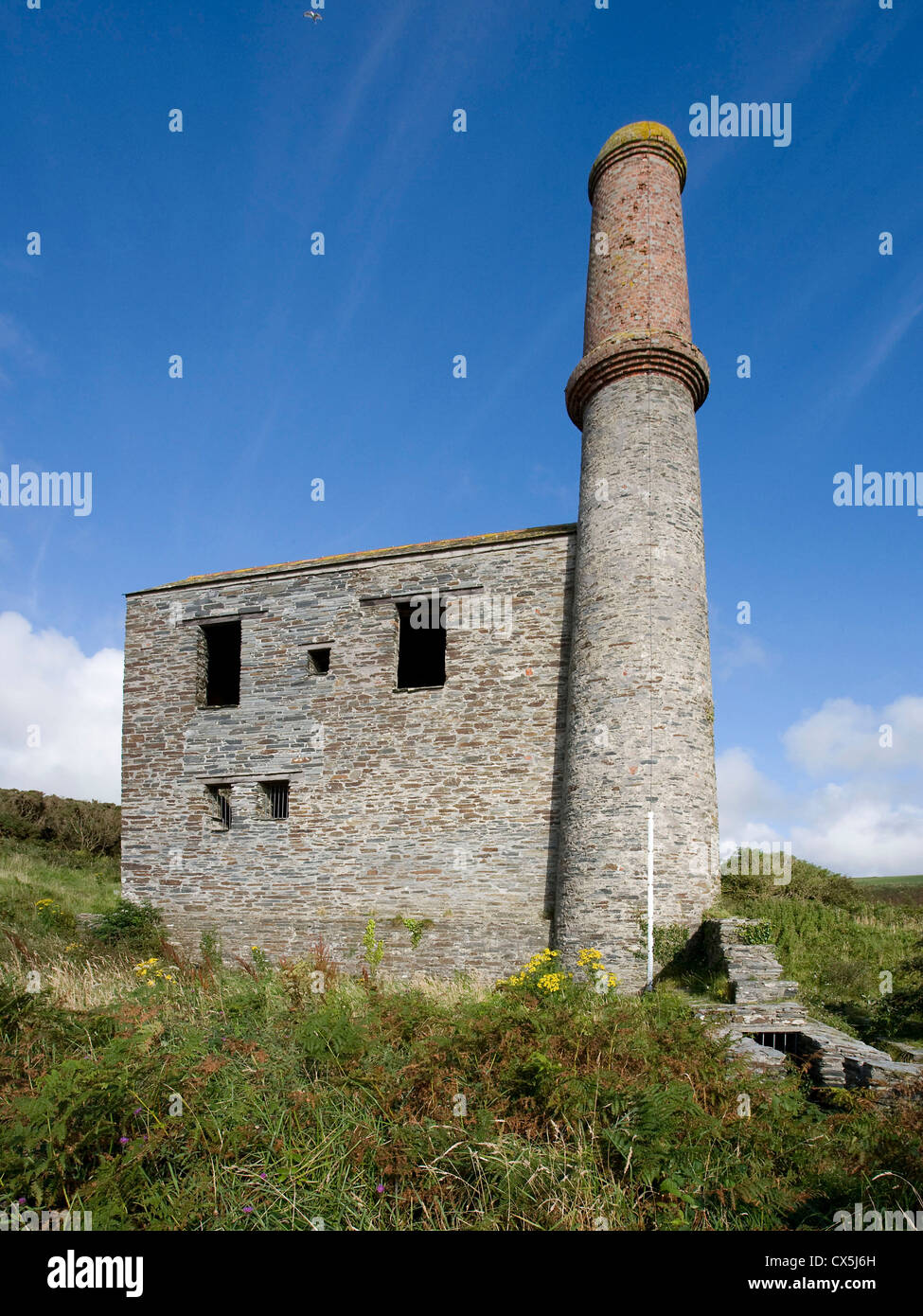 Tin Mines on North Cornwall Coast, Trewarmett Stock Photo Alamy