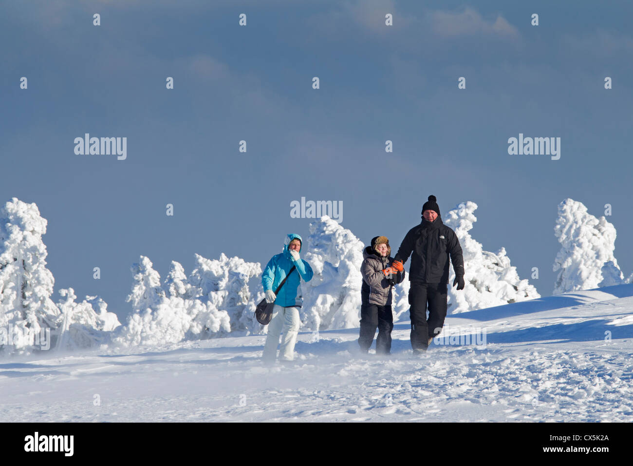 Tourists walking among frozen snow covered spruce trees in winter at Brocken, Blocksberg in the Harz National Park, Germany Stock Photo