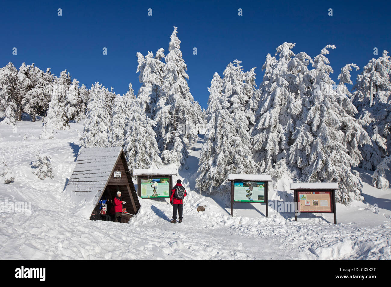 Tourists at shelter and frozen snow covered spruce trees in winter at Brocken, Blocksberg in the Harz National Park, Germany Stock Photo