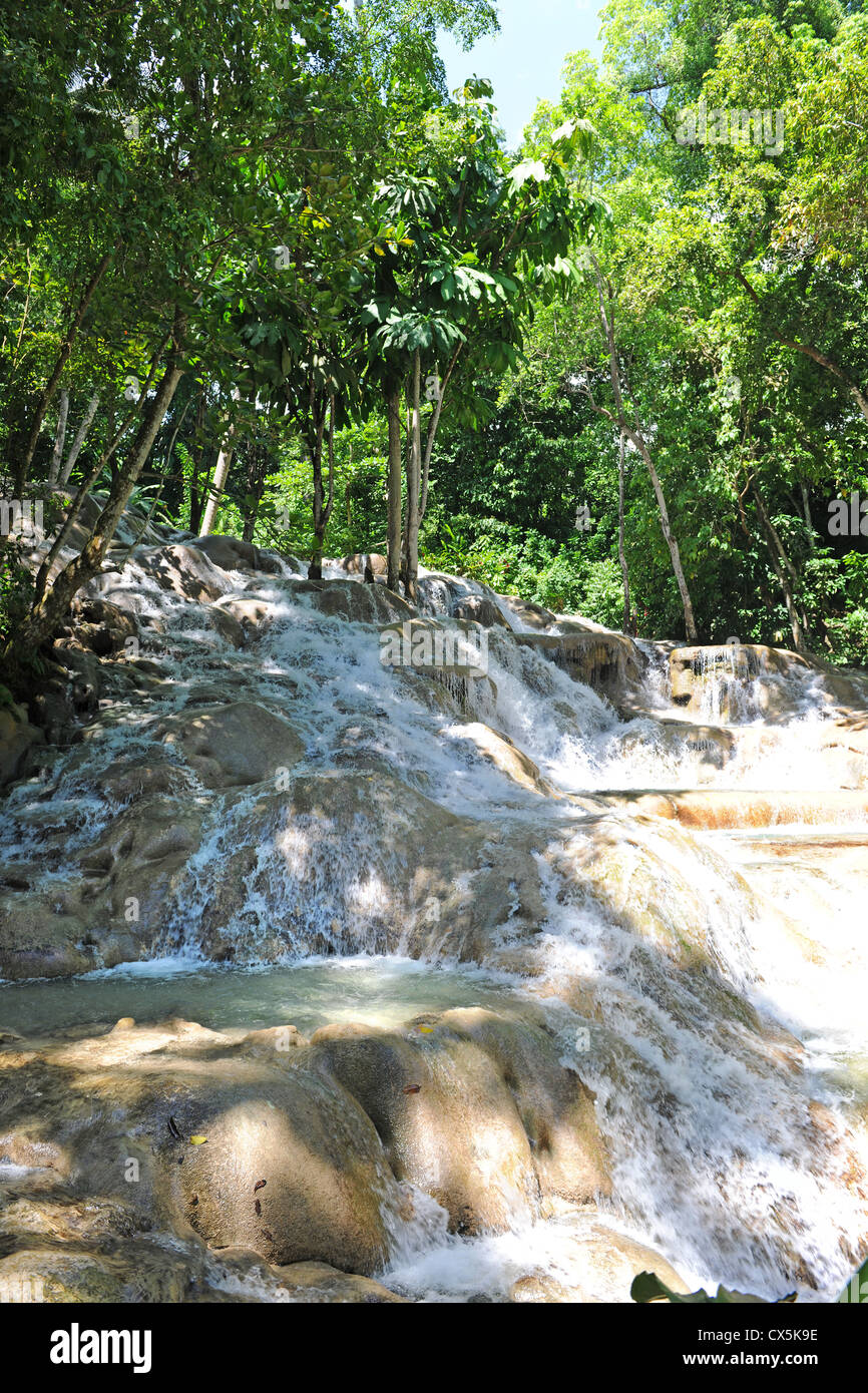 Dunn's River Falls in Ocho Rios Jamaica Stock Photo