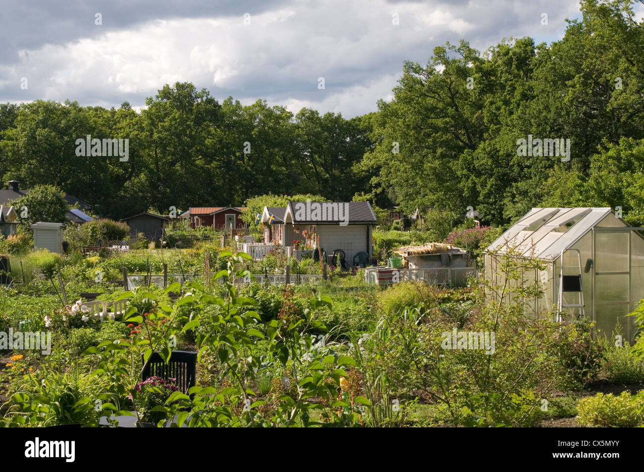 allotment allotments greenhouse greenhouses green house houses shed sheds growing your own food vegetables vegetable fruit small Stock Photo