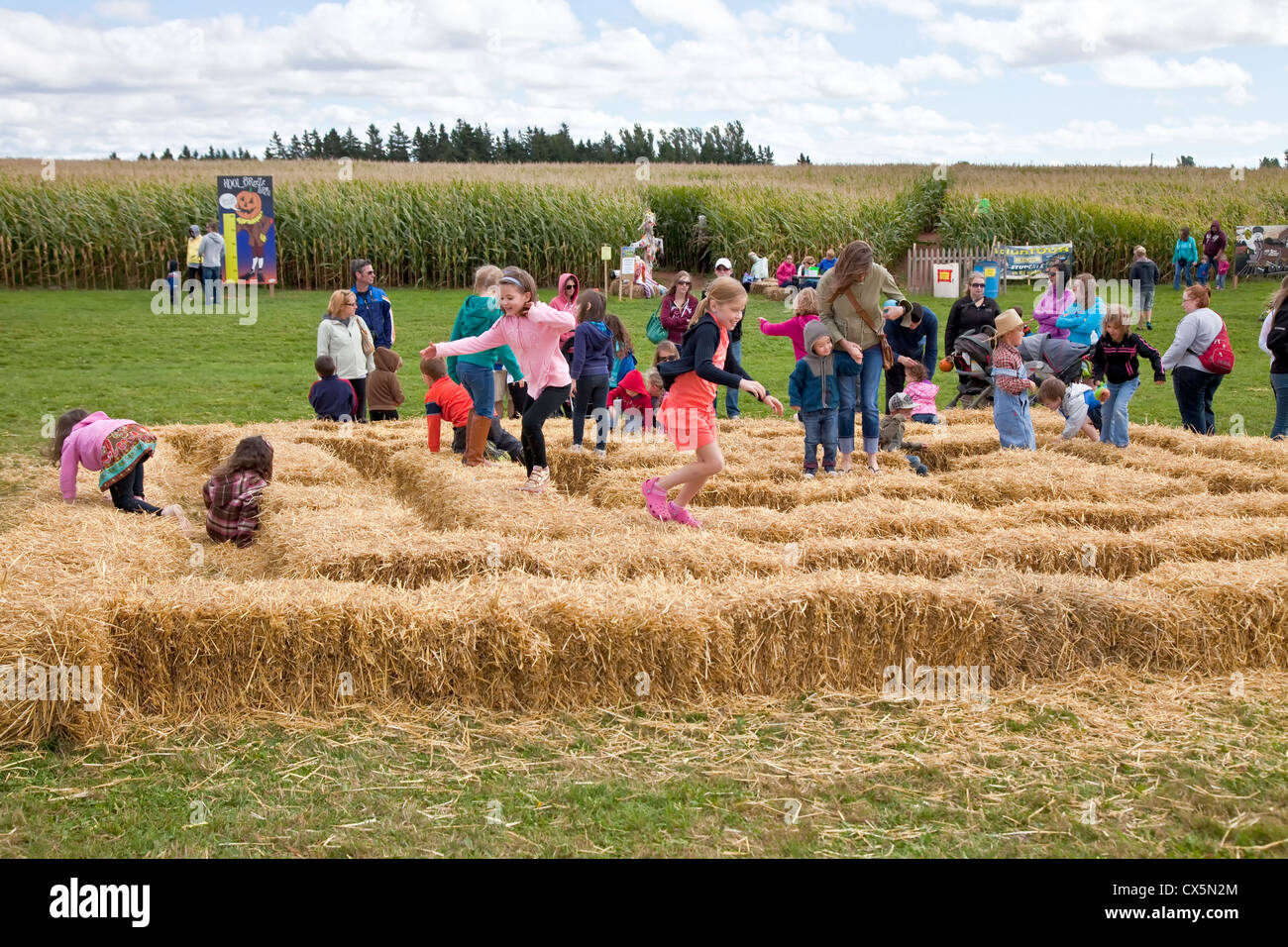 Children playing in the hay bale maze at the annual Scarecrow Festival
