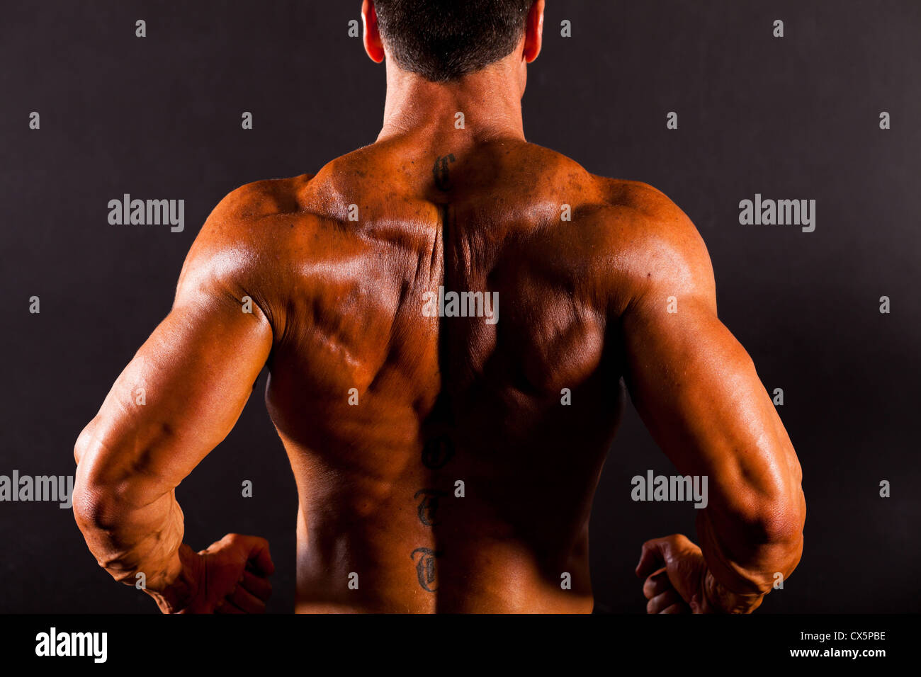 rear view of a bodybuilder's back Stock Photo