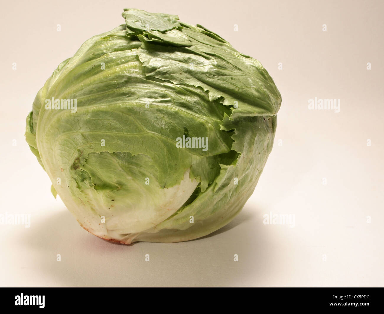Head of Lettuce Stock Photo Alamy