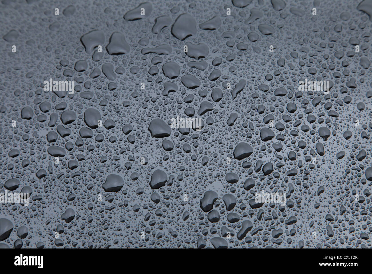 Water drops on a polished car Stock Photo Alamy