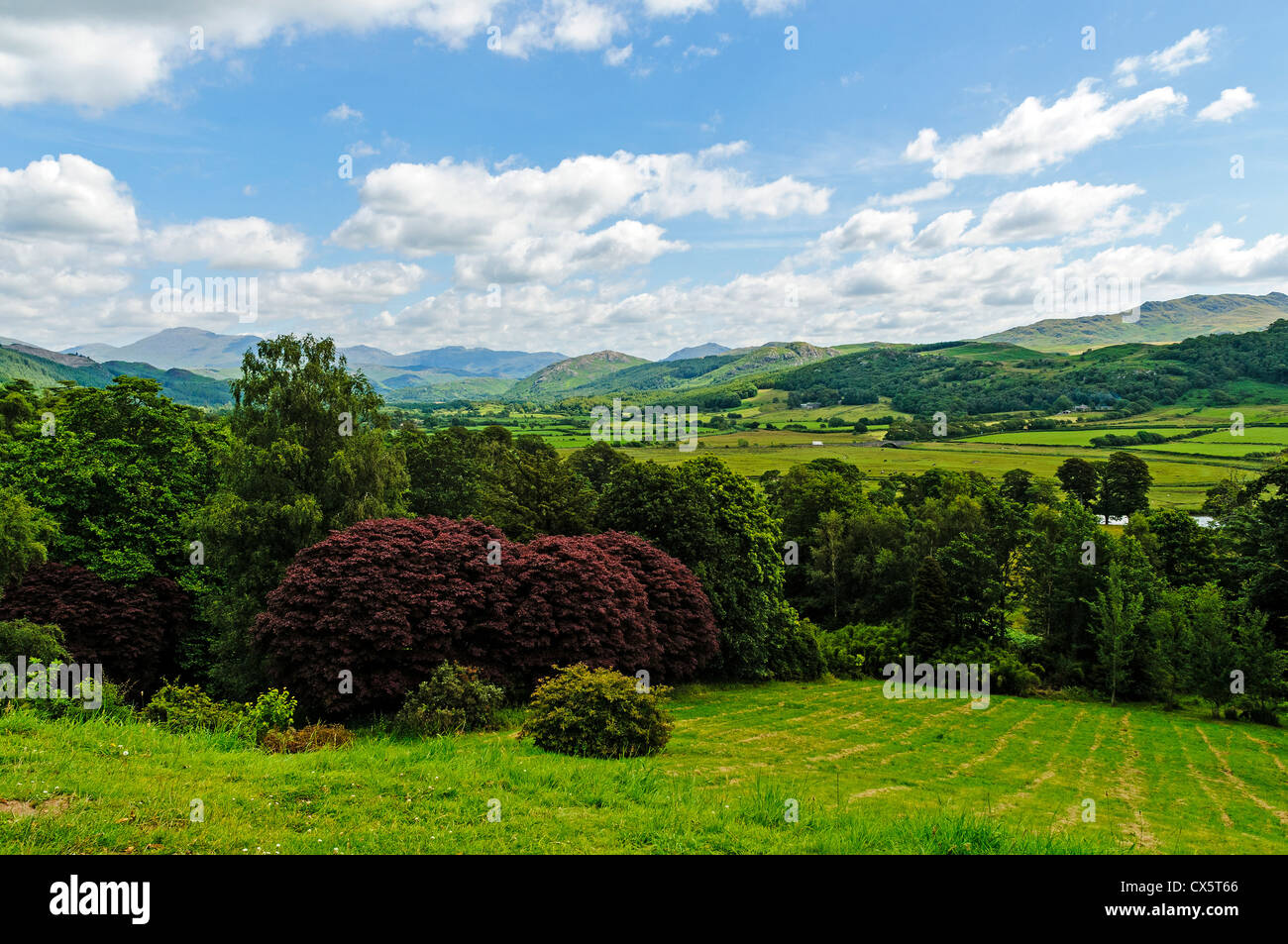 The extraordinary diverse terrain of the Lake District with its patchwork of fields surrounded by wooded slopes and rugged fells Stock Photo