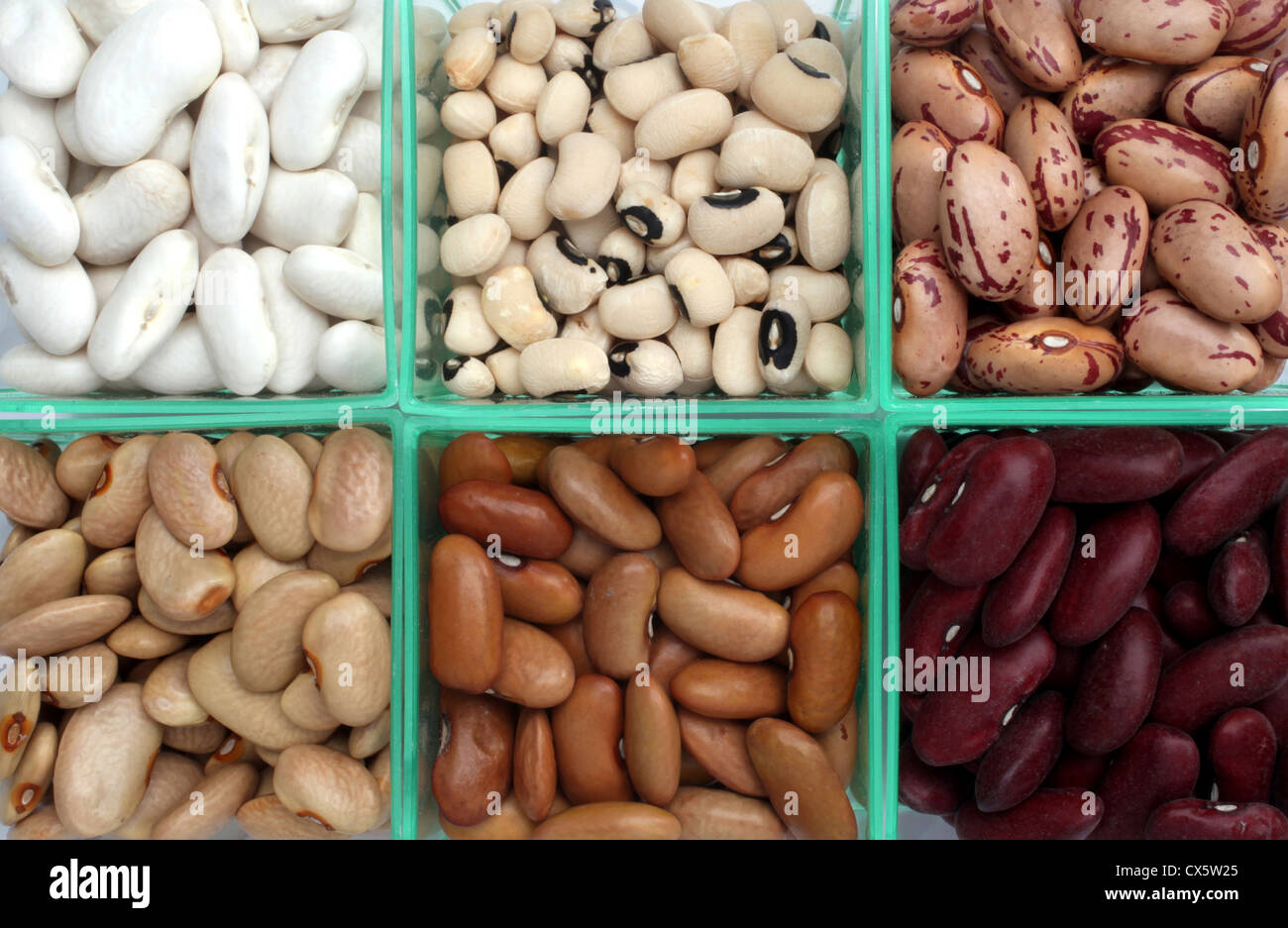 Various beans close up Stock Photo - Alamy