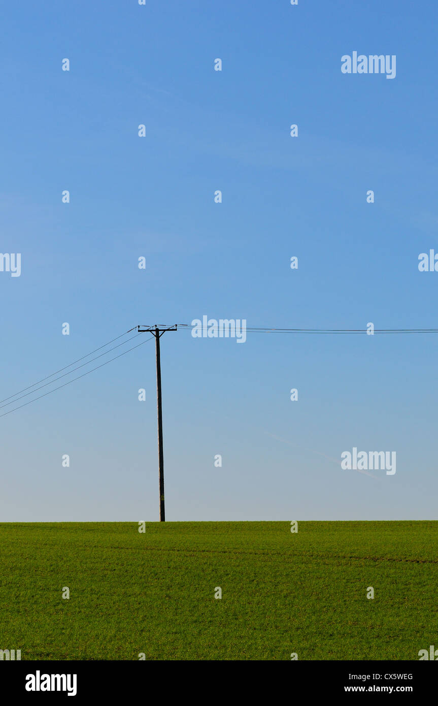 A telegraph pole and wires in a field, UK Stock Photo