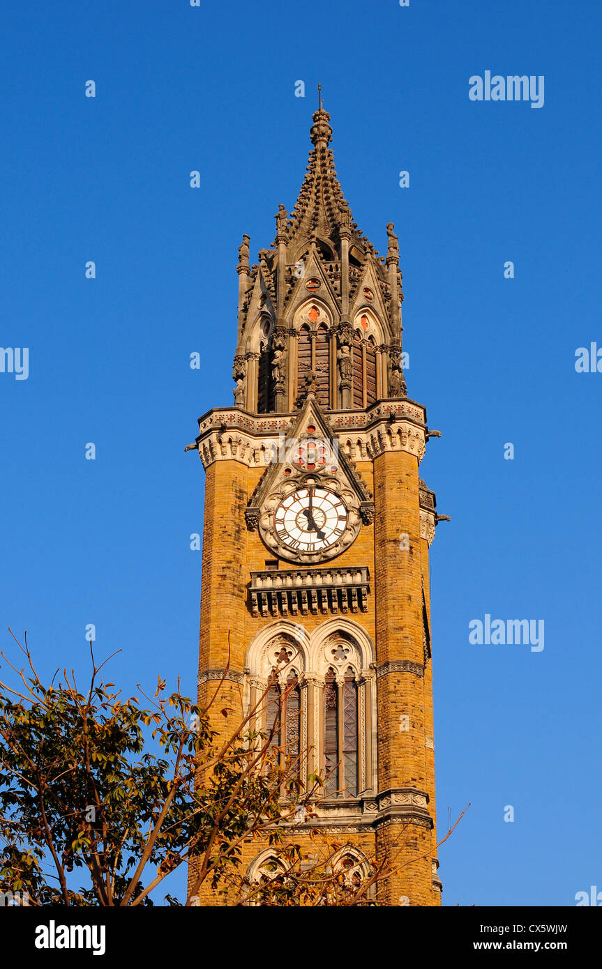 Rajabai Clock Tower at Mumbai University, Mumbai, India Stock Photo