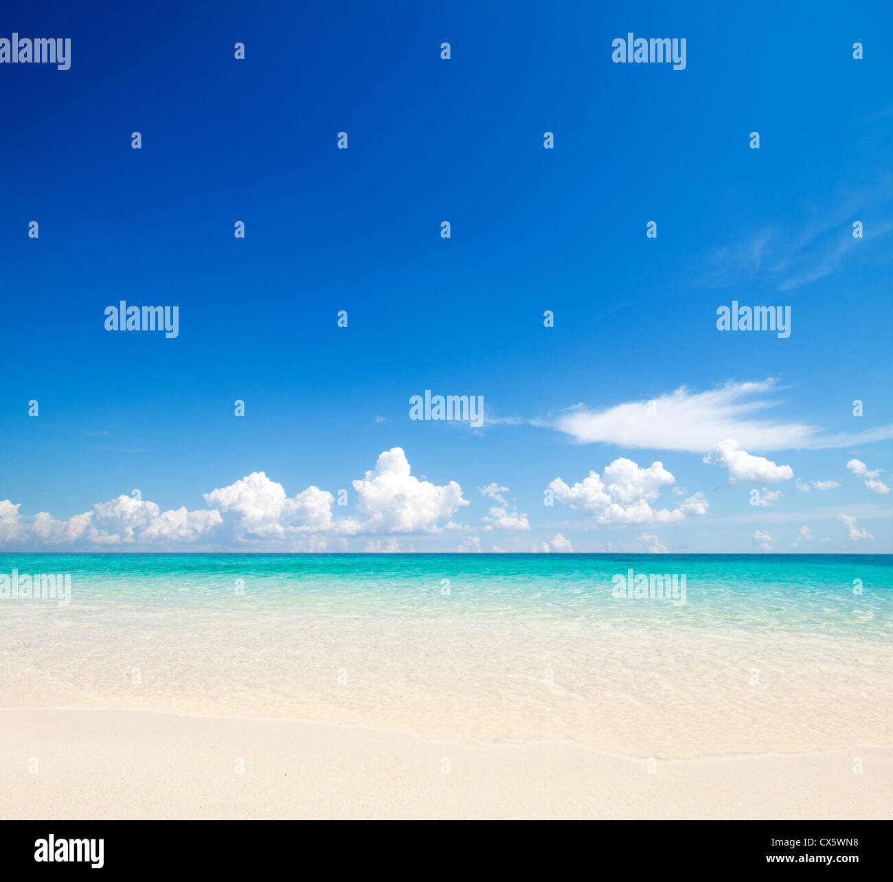 Beautiful tropical beach sunlight hi-res stock photography and images ...