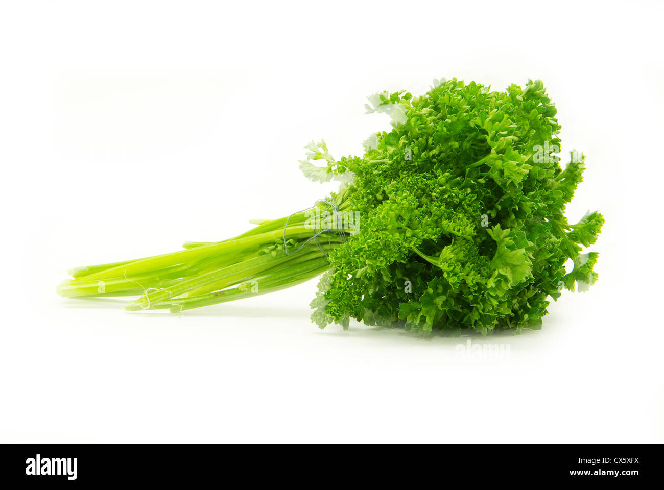 parsley twig isolated on white Stock Photo