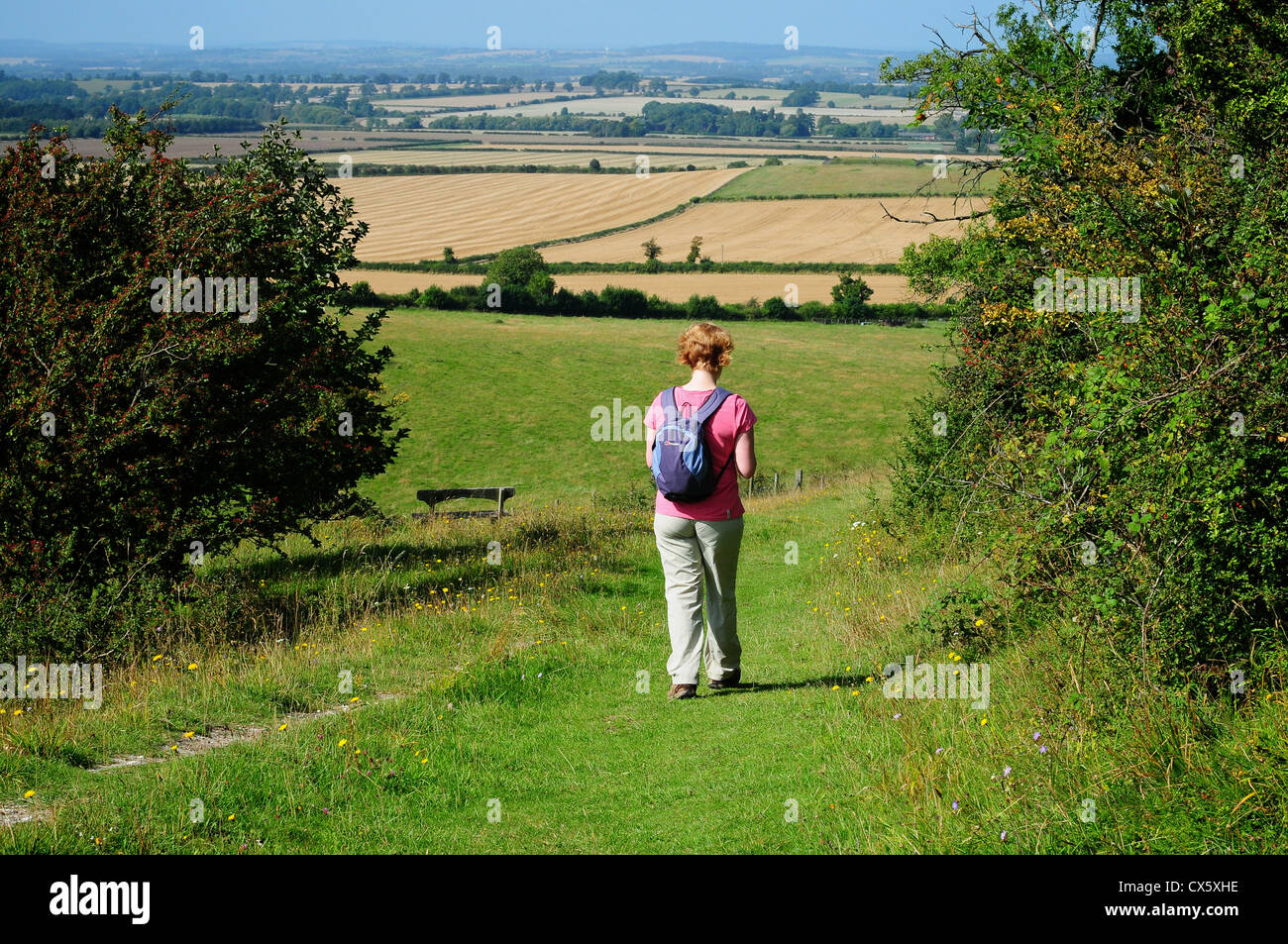 Woman walking in the Chiltern Hills, Oxfordshire, UK Stock Photo