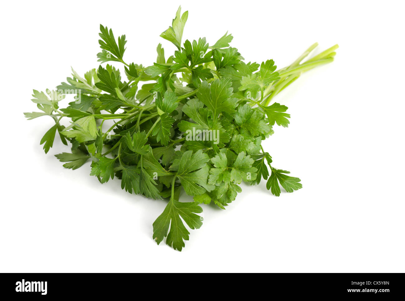 Bunch of fresh parsley isolated on white on white Stock Photo