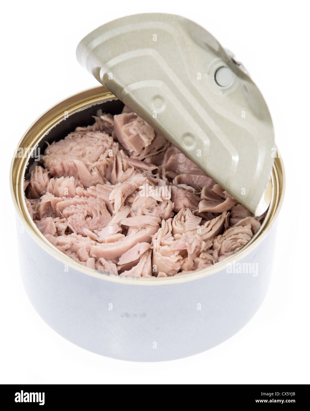 Tuna Fish Food