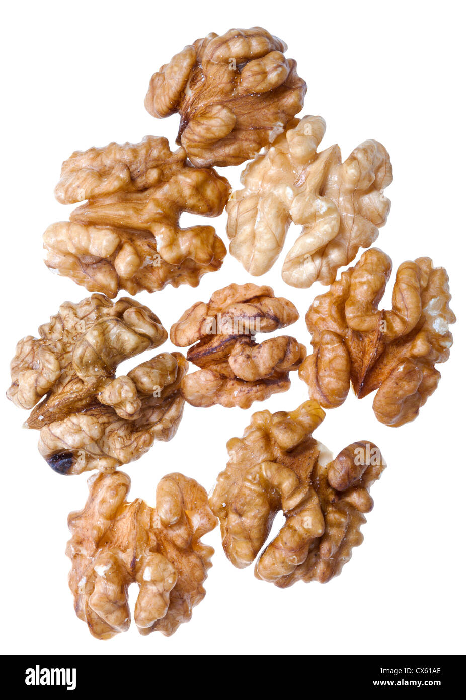 several peeled walnut kernels isolated on white background Stock Photo