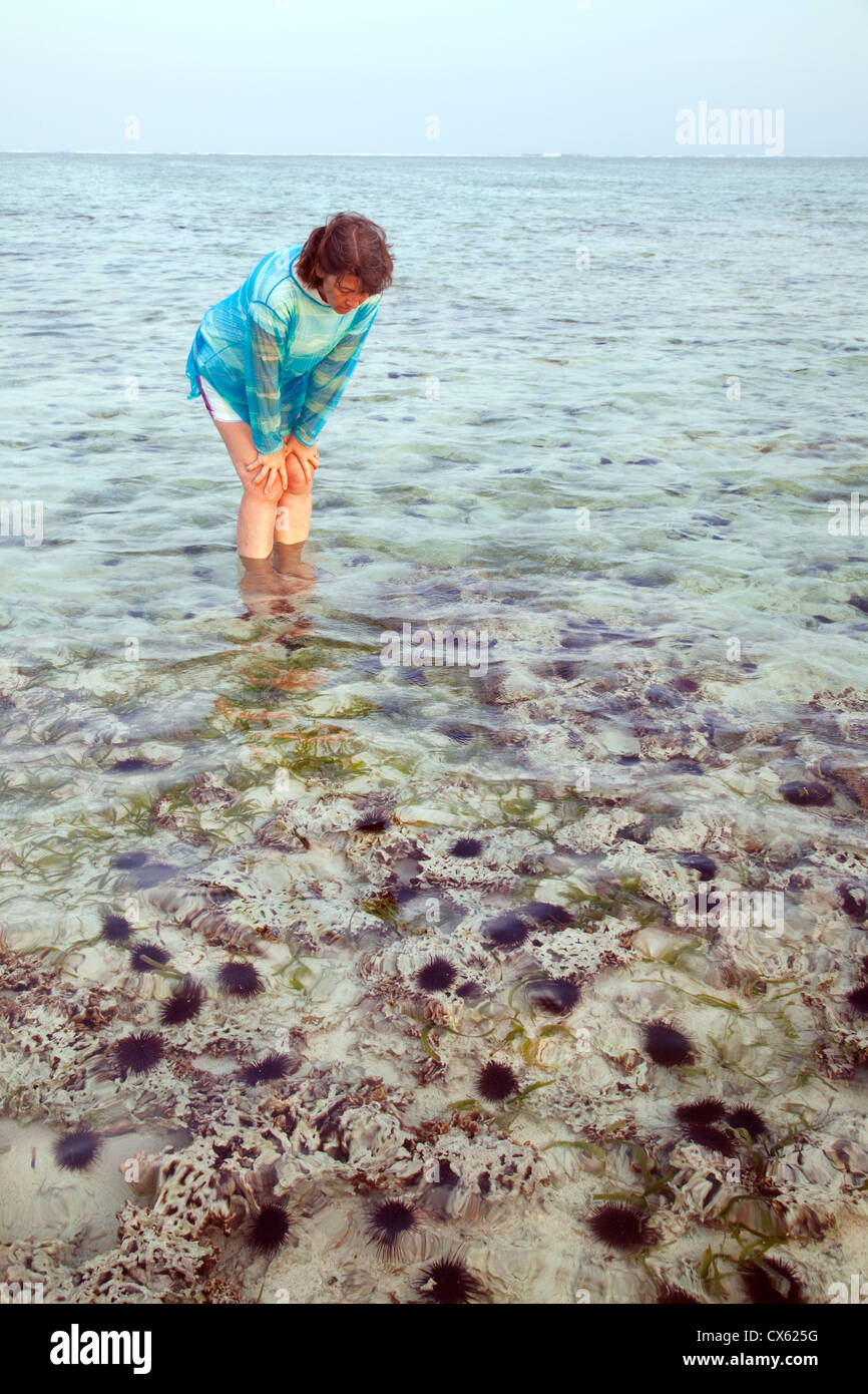 A tourist looking at spiny sea urchins in the ocean, Bwejuu beach, Zanzibar Africa Stock Photo
