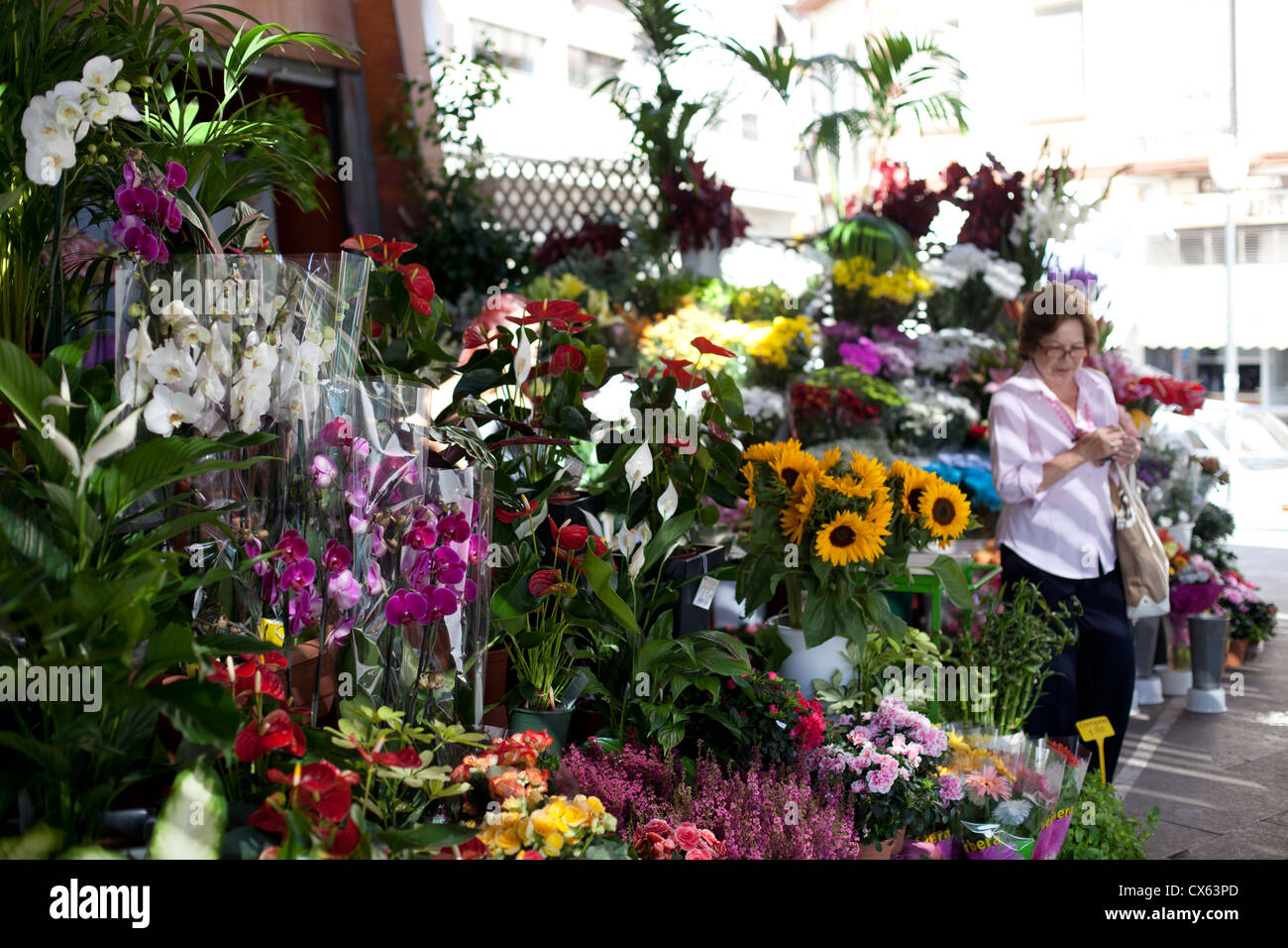 Flower stall florist market Alicante Spain Stock Photo Alamy