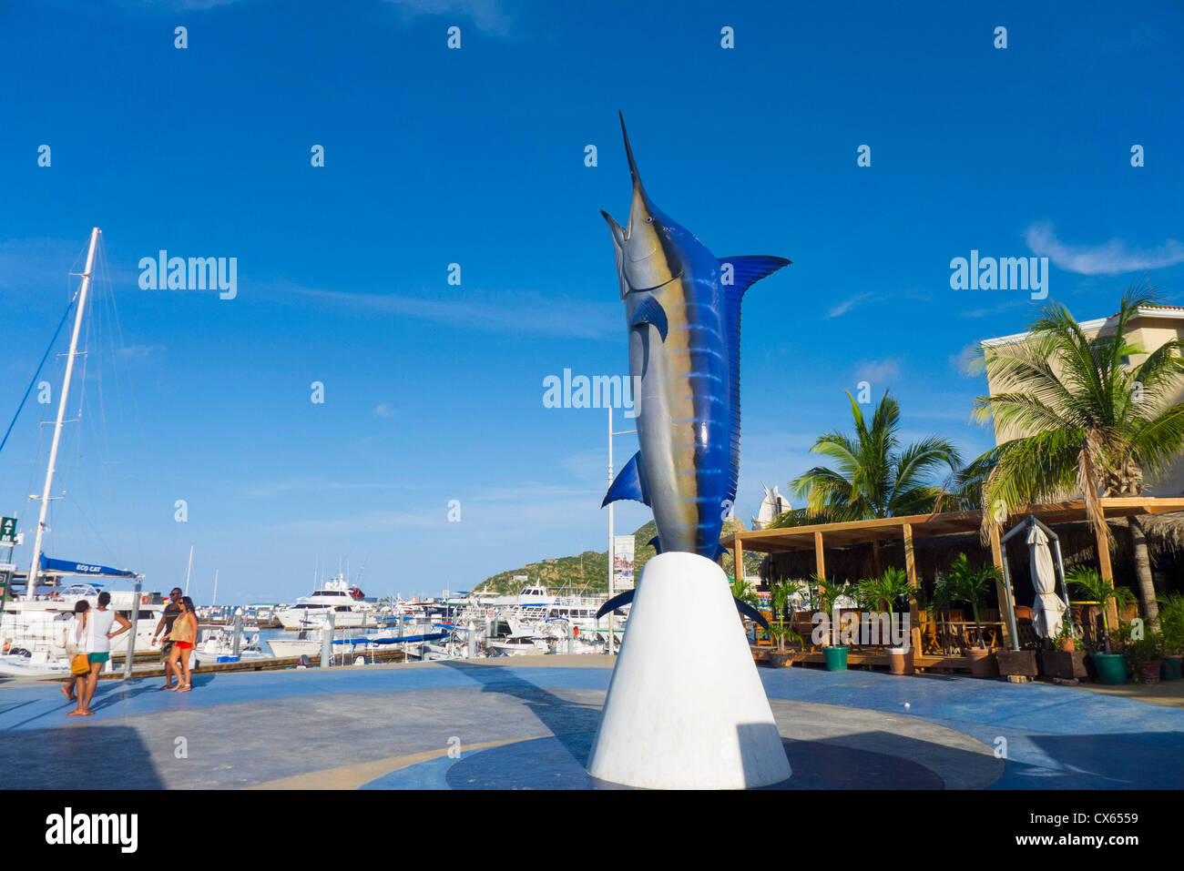 Marlin statue, marina, Cabo San Lucas, Baja, Mexico Stock Photo - Alamy