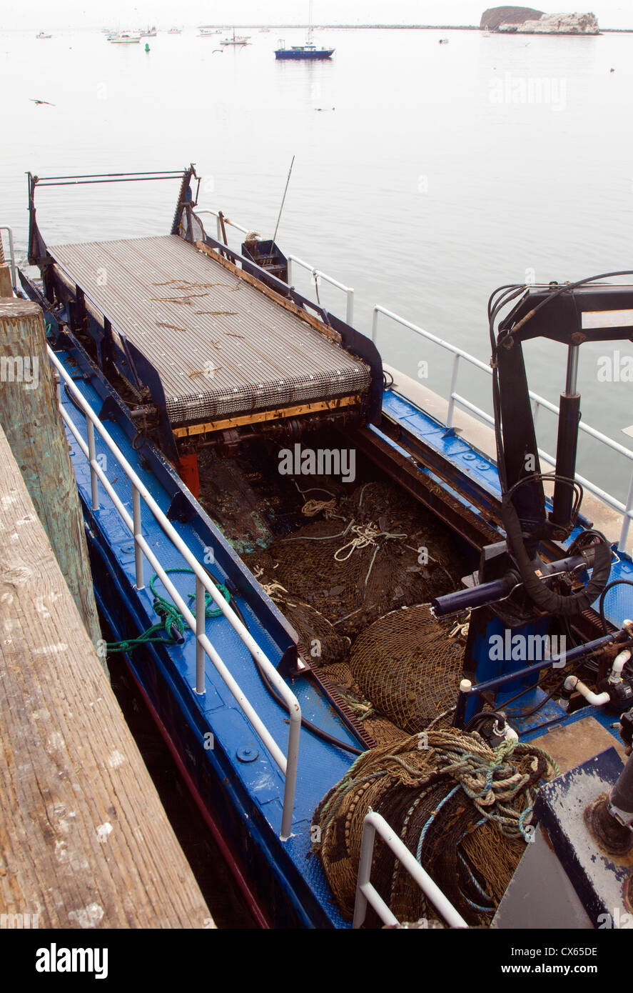 Kelp Harvesting Vessel Stock Photo