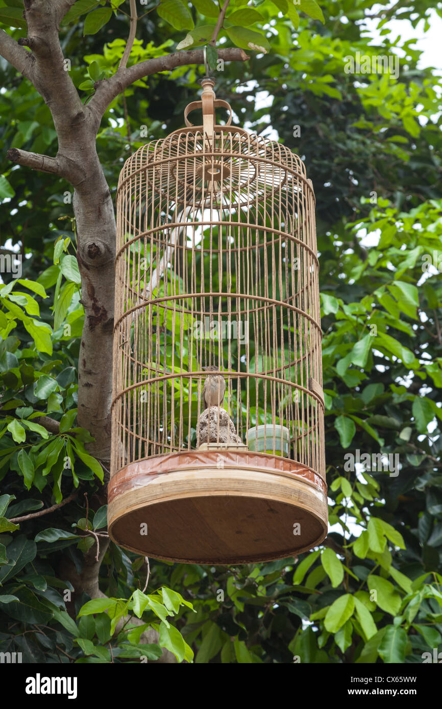 A Bird Cage in Yogyakarta Stock Photo