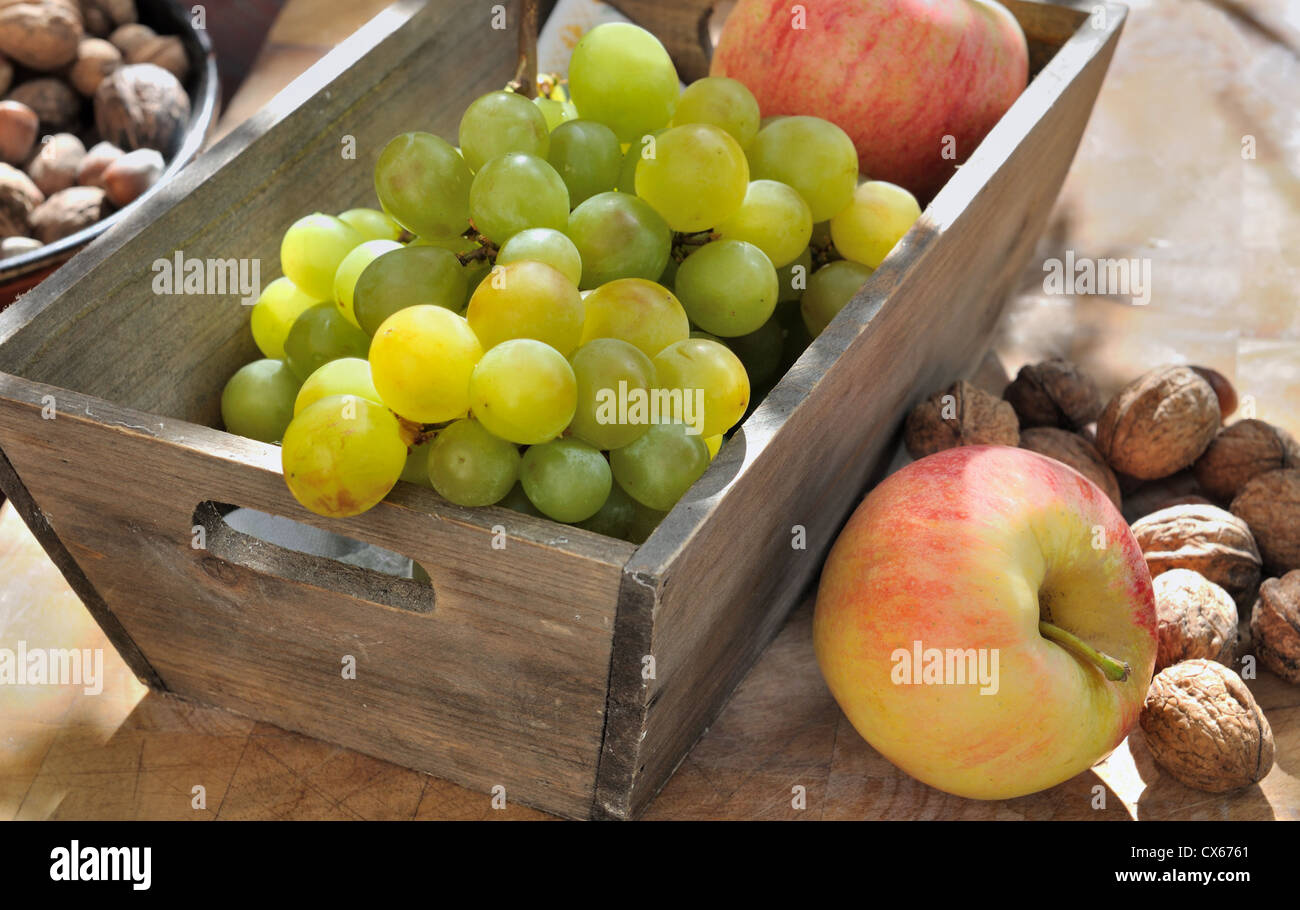 harvest of seasonal fruit Stock Photo Alamy
