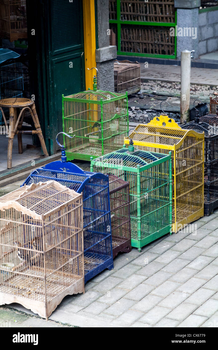 Picture of Aviaries Bird High Resolution Stock Photography and Images - Alamy