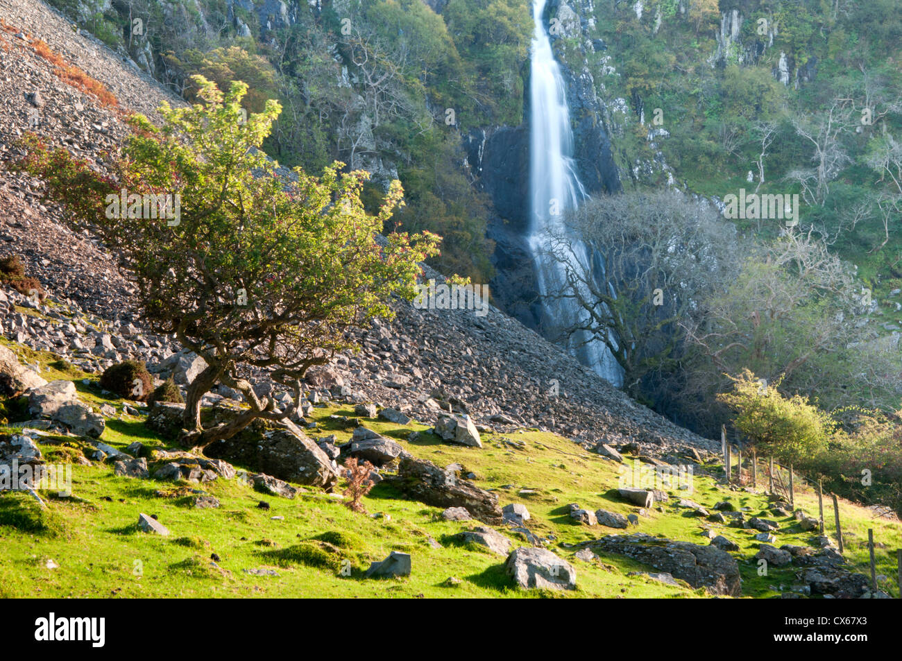 Aber Falls, near Abergwyngregyn, Llanfairfechan, Gwynedd, North Wales, UK Stock Photo