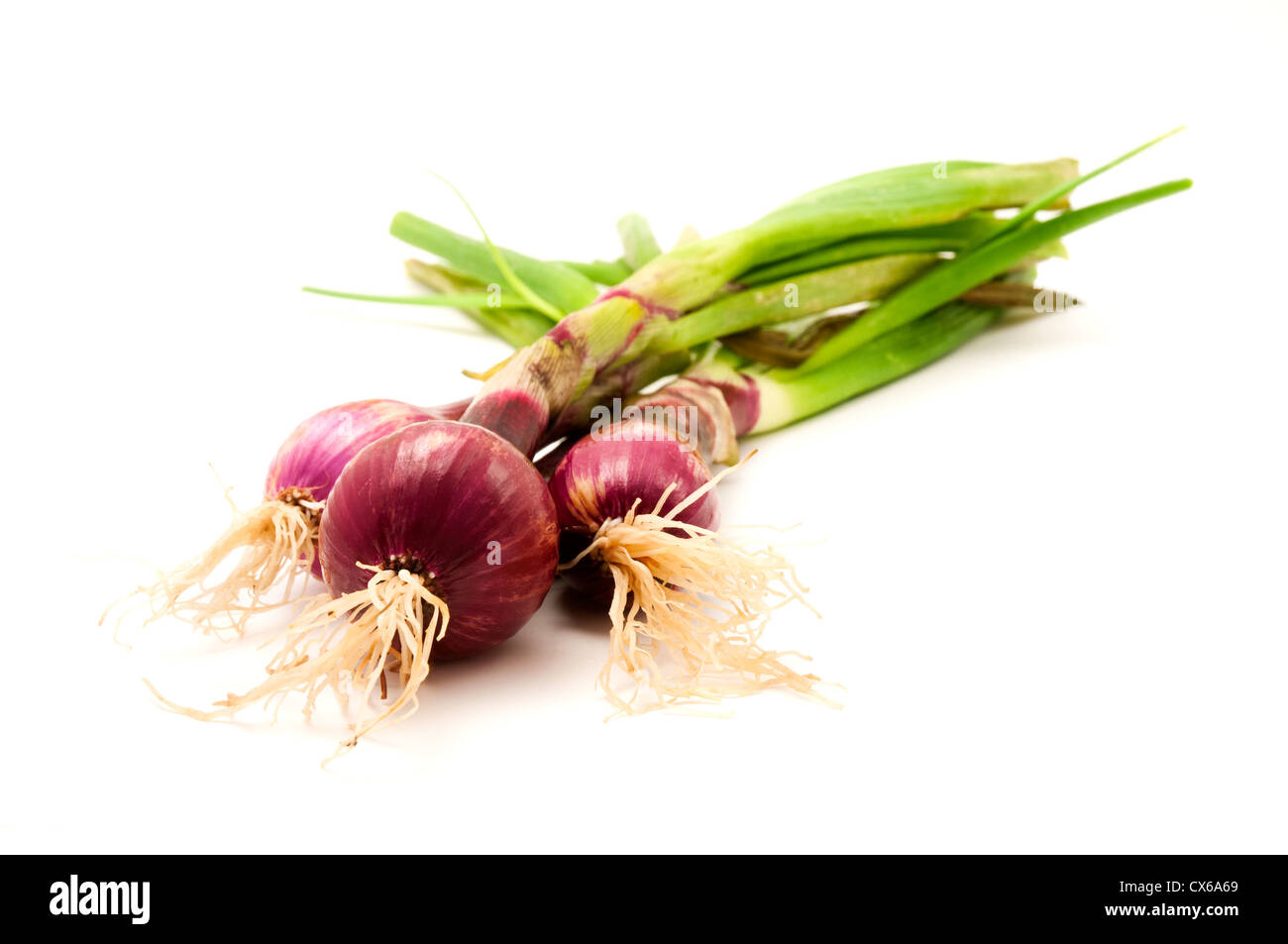 Red onions on a white background Stock Photo