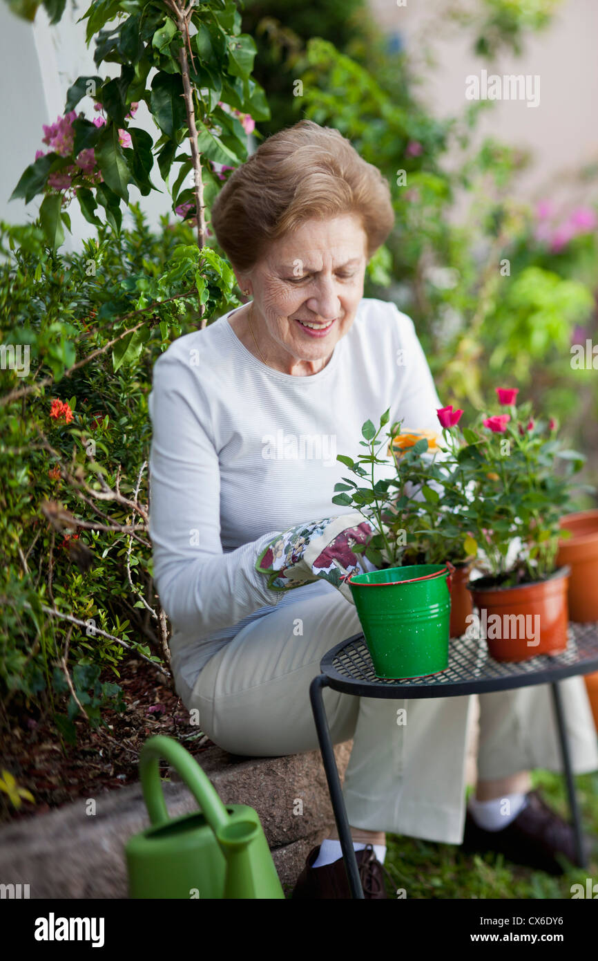 A senior woman gardening Stock Photo - Alamy