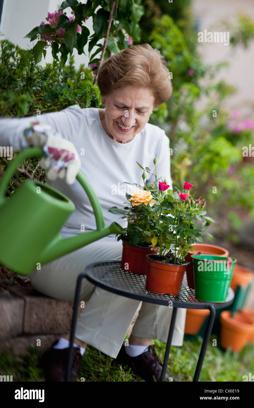 A senior woman gardening Stock Photo - Alamy