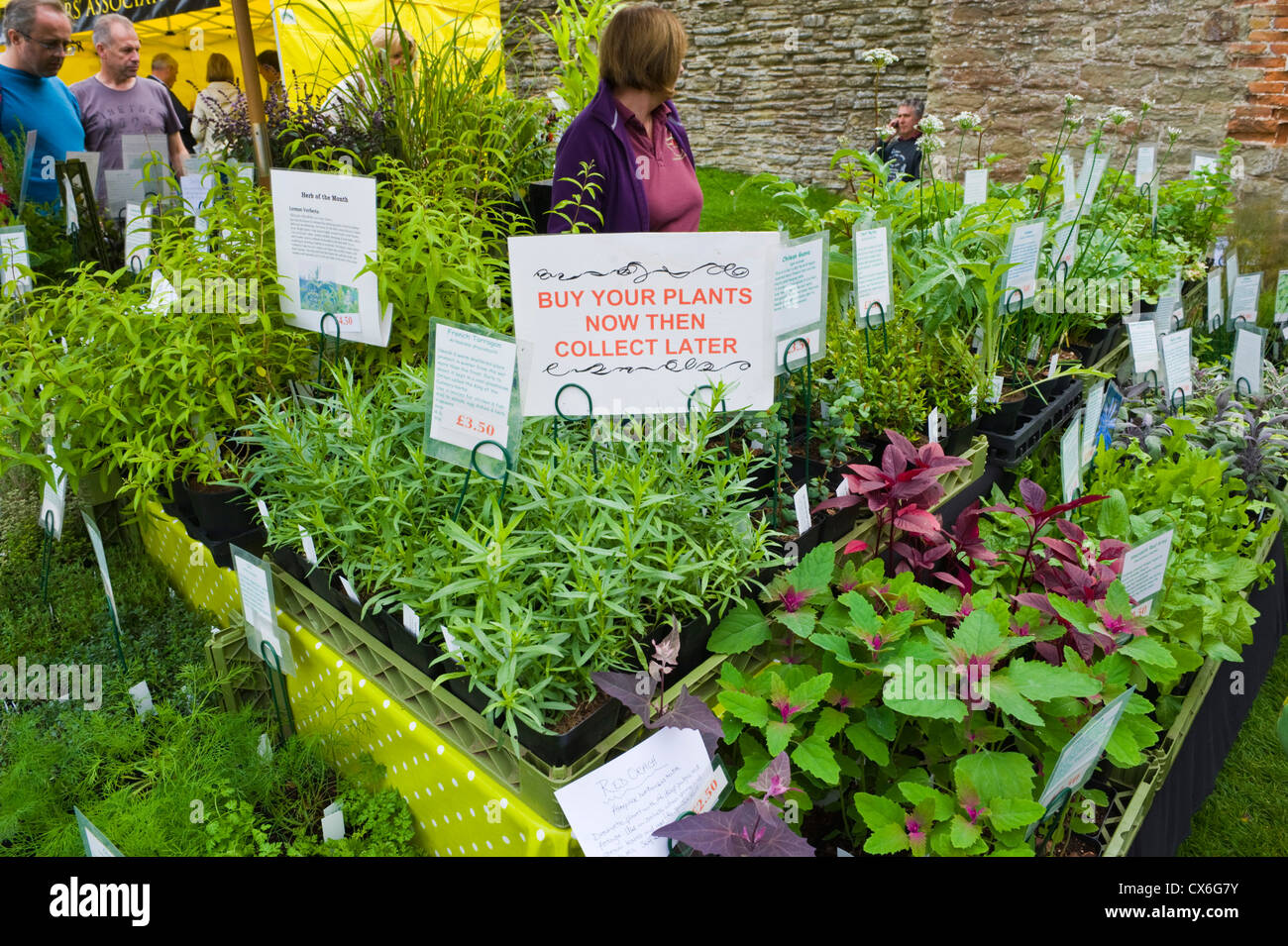 Food market retail herb shoppers hires stock photography and images Alamy