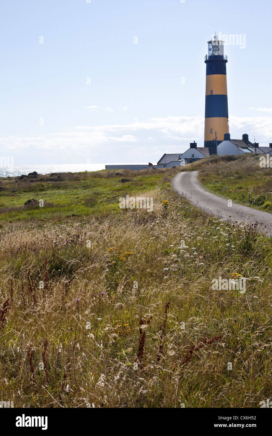 the lighthouse at St John's Point, Killough, Northern Ireland Stock Photo