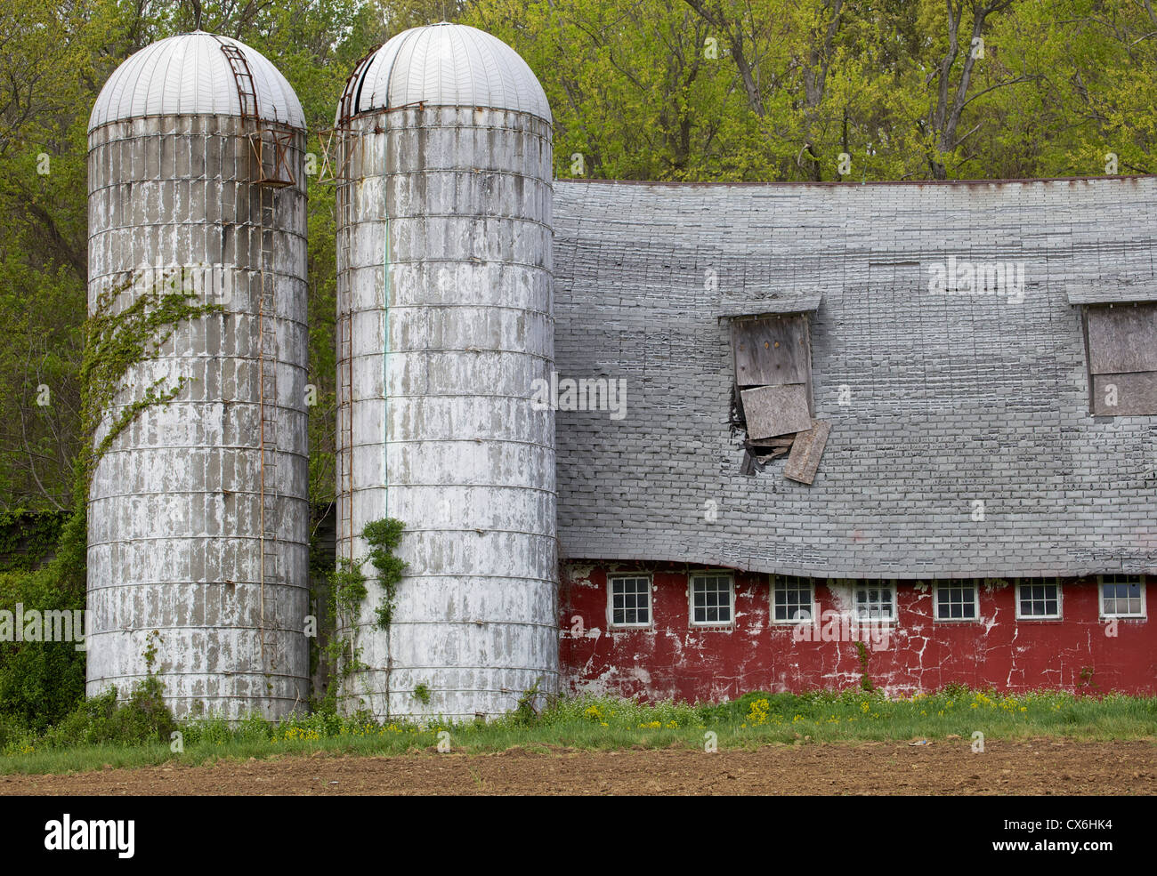 Weathered Red Barn with Grain Silos Stock Photo