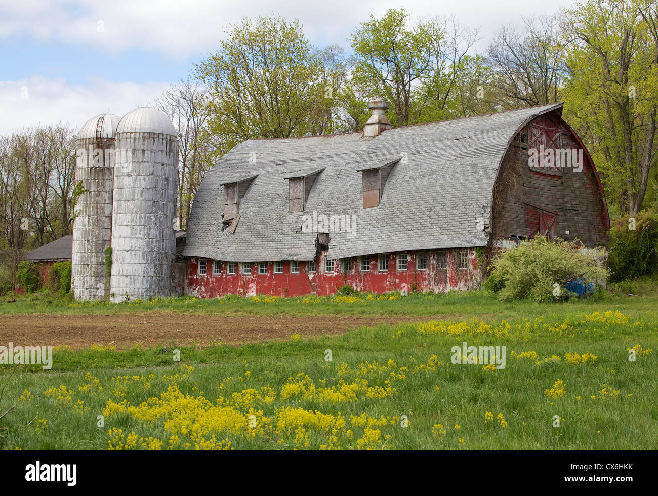 Weathered Red Farm Barn with Grain Silos Stock Photo