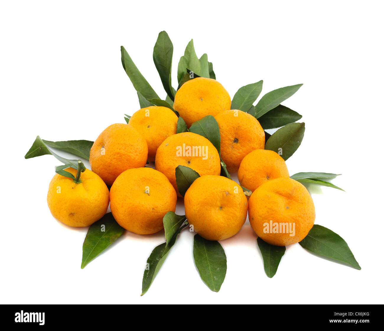 tangerine fruit isolated Stock Photo Alamy