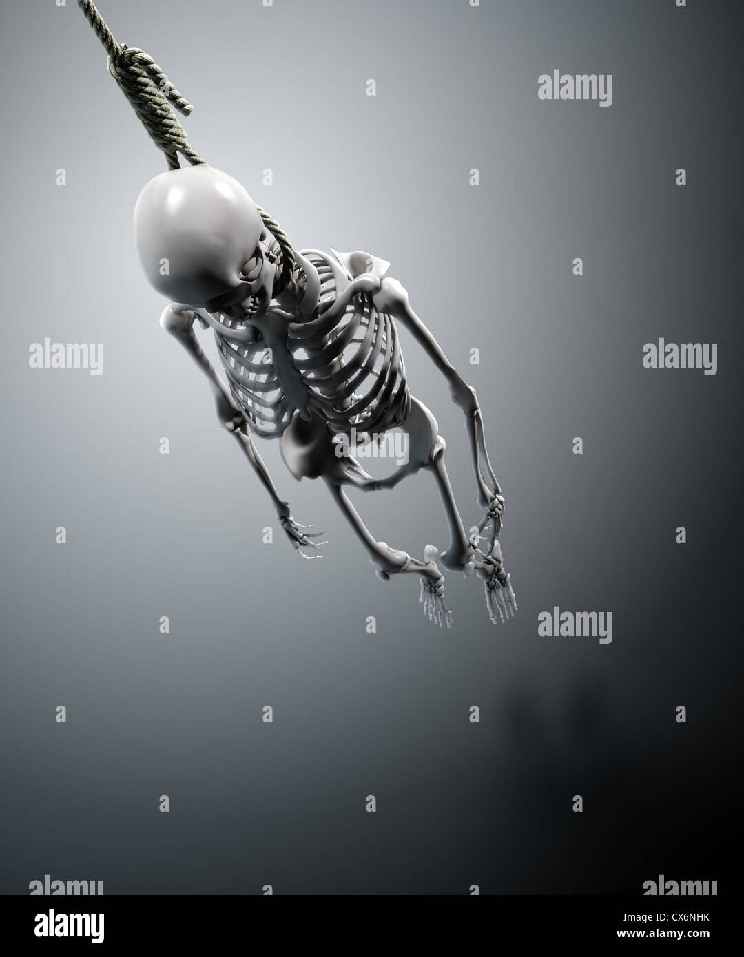 Skeleton hanged on a rope Stock Photo