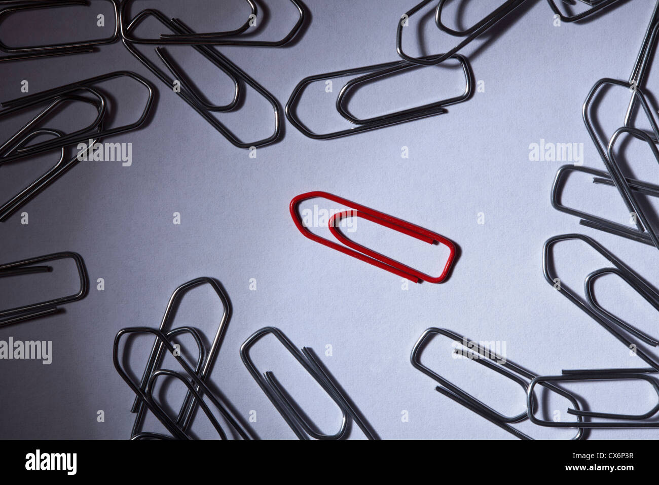 A red paperclip separated from silver paperclips Stock Photo
