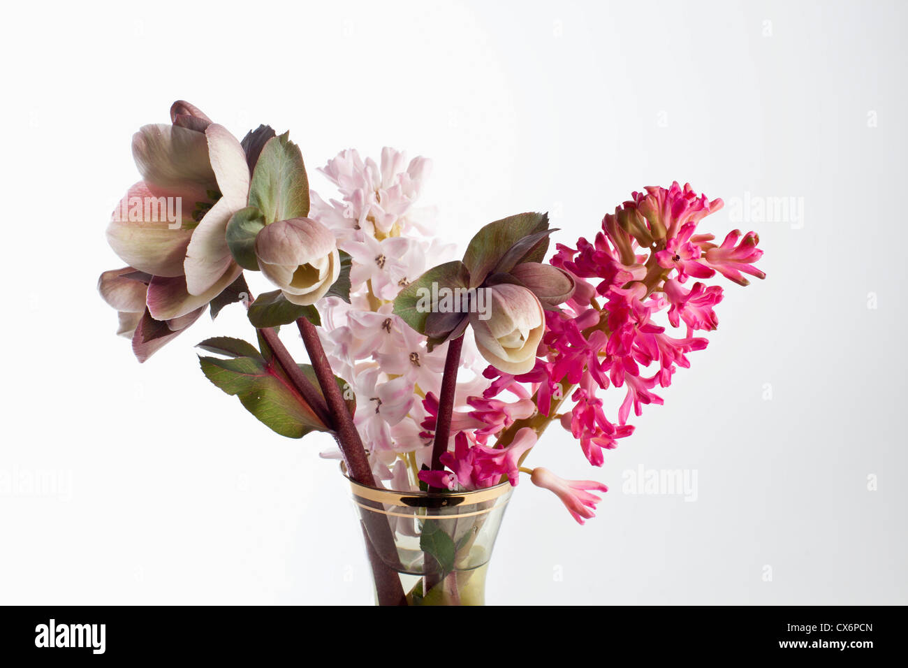 A bouquet of flowers, including Lenten roses (Helleborus orientalis) and hyacinth Stock Photo