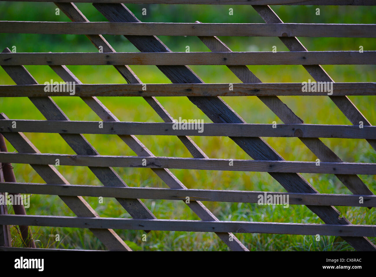 Wooden fence with green grass Stock Photo - Alamy