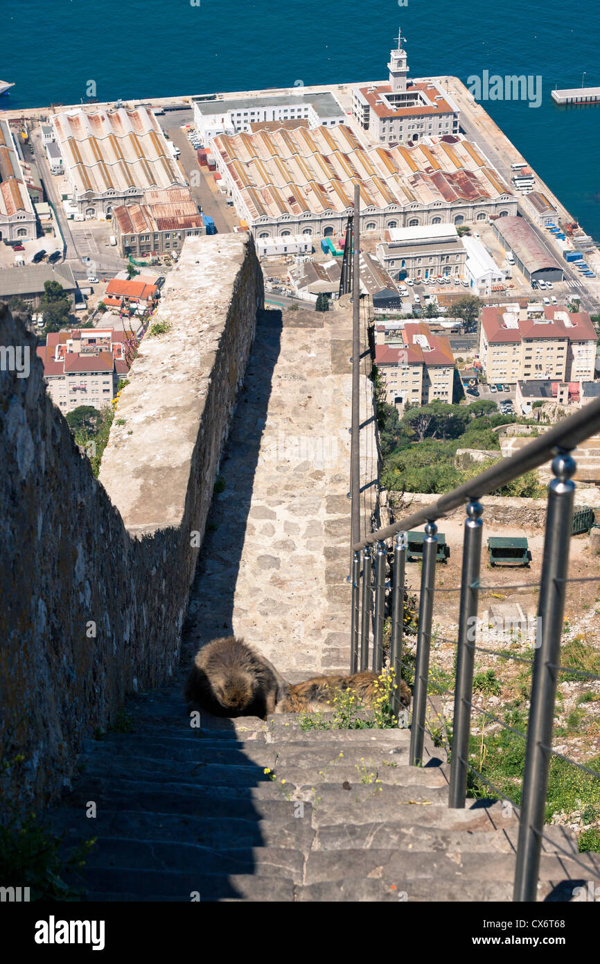 Urban scene and steps going to the top of Gibraltar Rock. Stock Photo