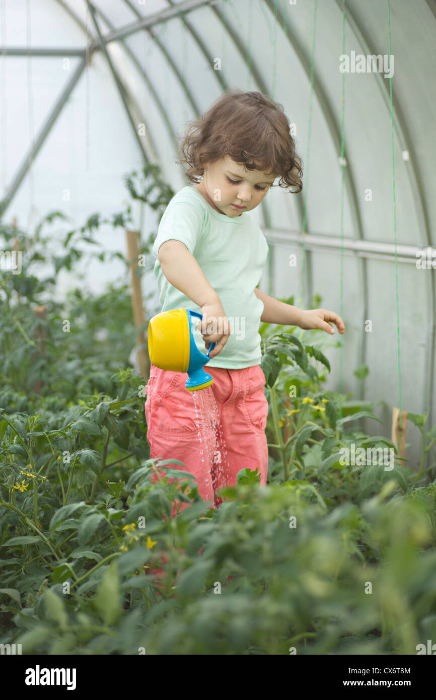 A young girl watering plants in a greenhouse Stock Photo - Alamy