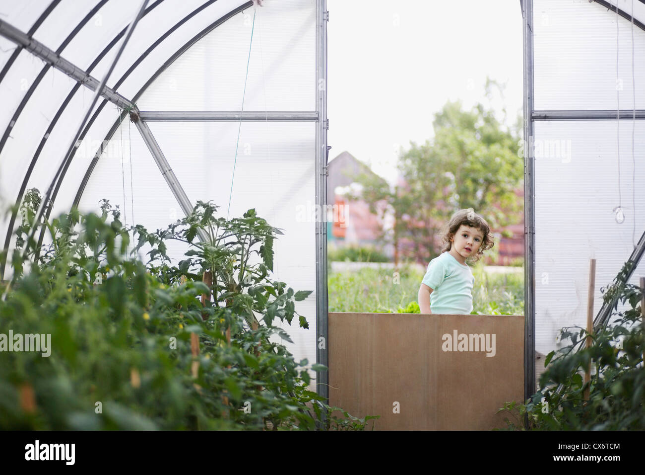 A young girl looking in to a greenhouse Stock Photo - Alamy