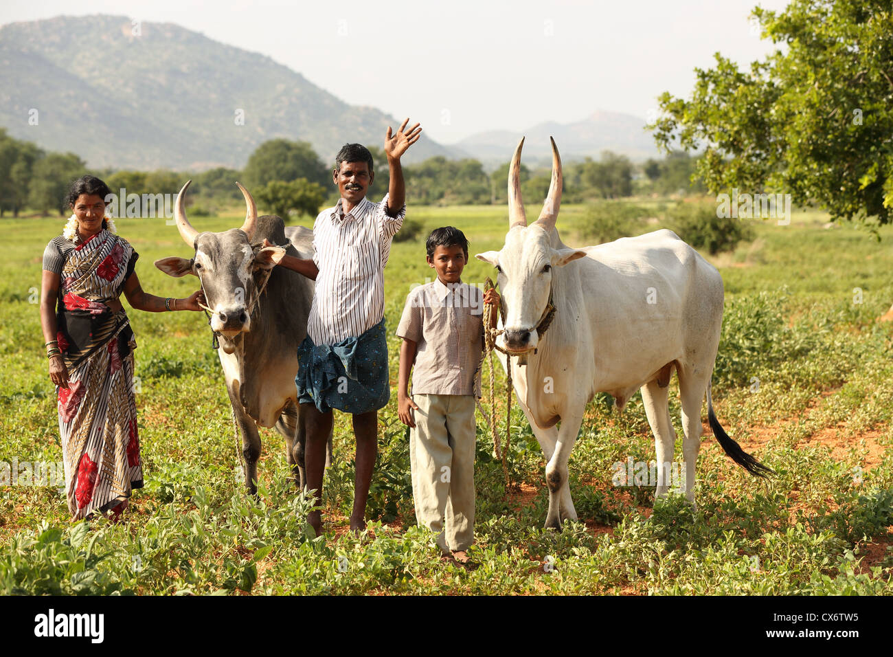 Indian farmer with family hi-res stock photography and images - Alamy