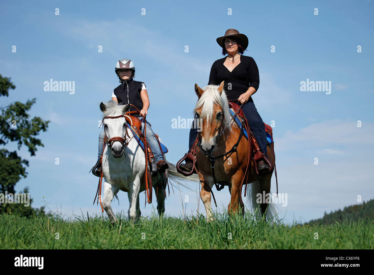 Rider haflinger hi-res stock photography and images - Alamy